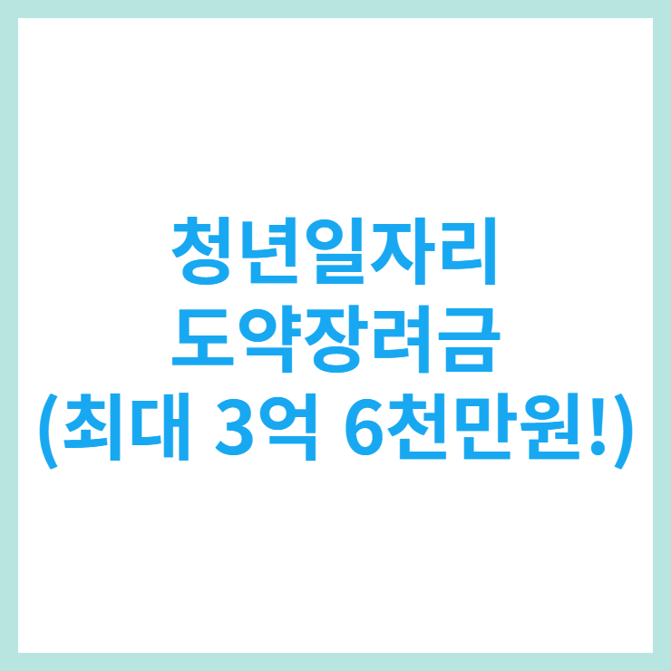 청년일자리 도약장려금