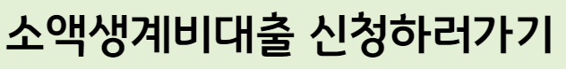 소액생계비대출
